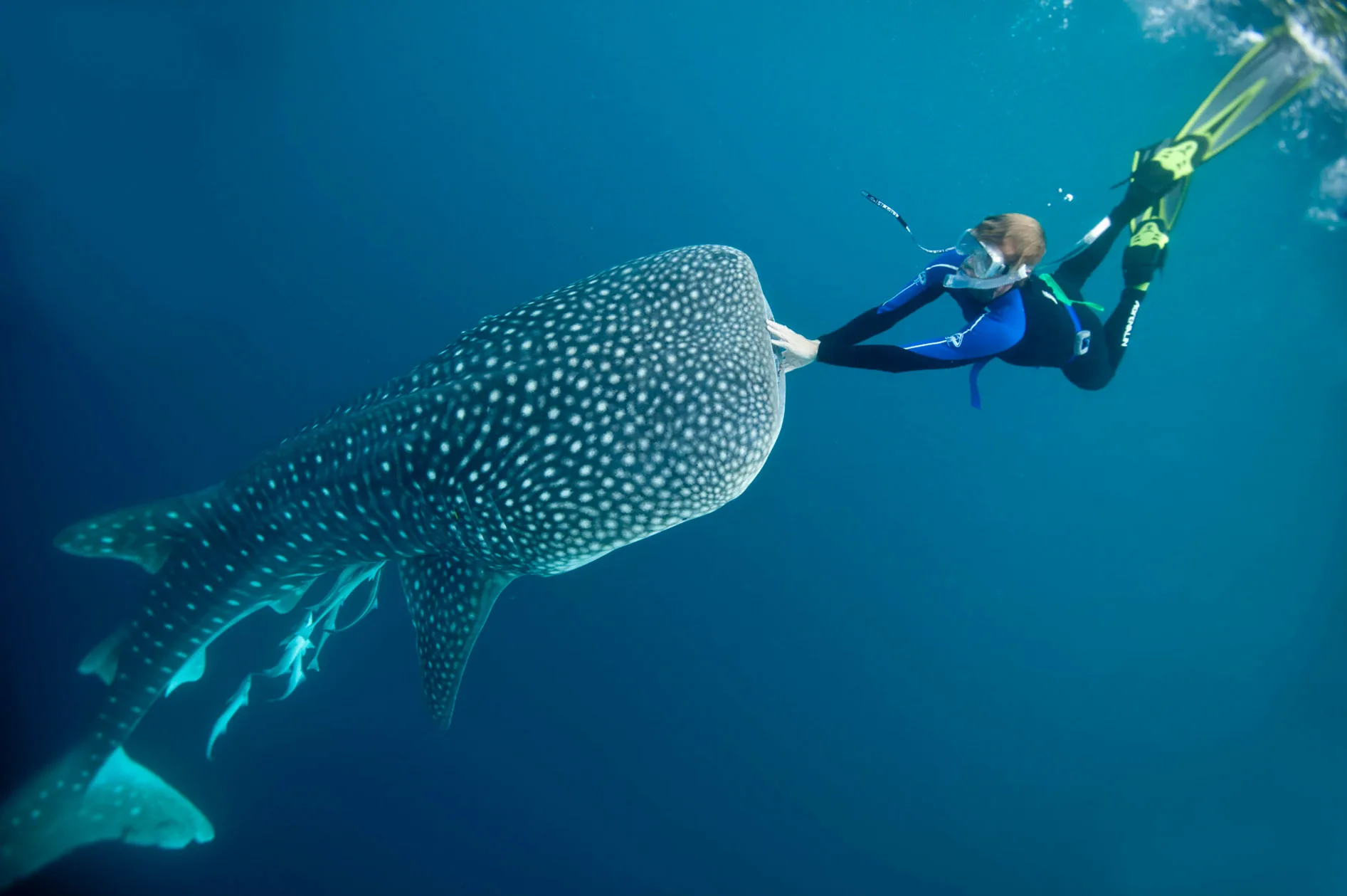 lombok-open-trip-bajo-explore